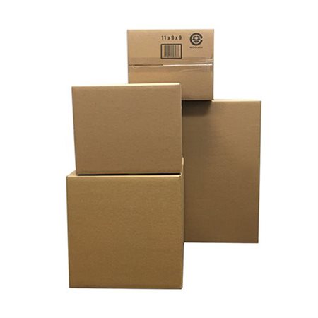 Shipping Case 11 3/4 x 8 3/4 x 4 3/4 in