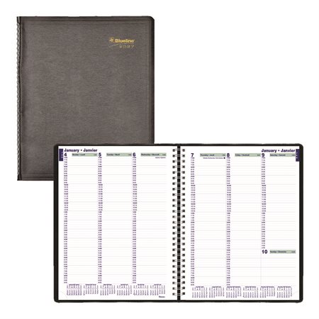 Weekly Diary (2026)