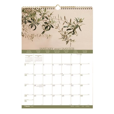 Succulent Plants Wall Calendar (2024)