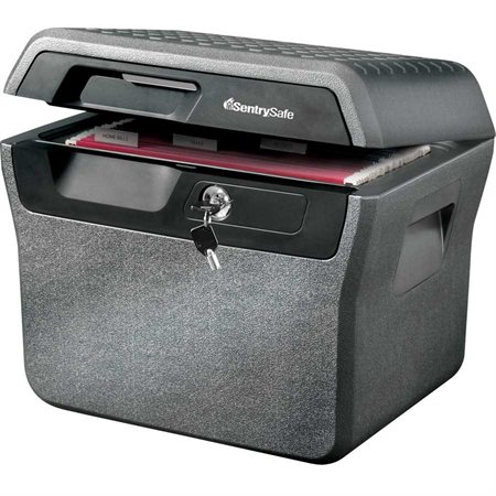 Coffret de sécurité anti-feu / hydrofuge FHW40200