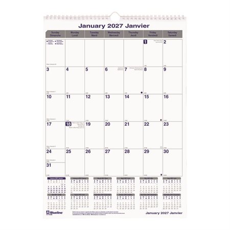 Net Zero Carbon™ Wall Calendar (2026)