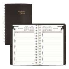 Daily Diary (2027) English