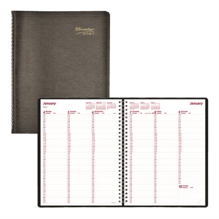 Weekly Diary (2026)