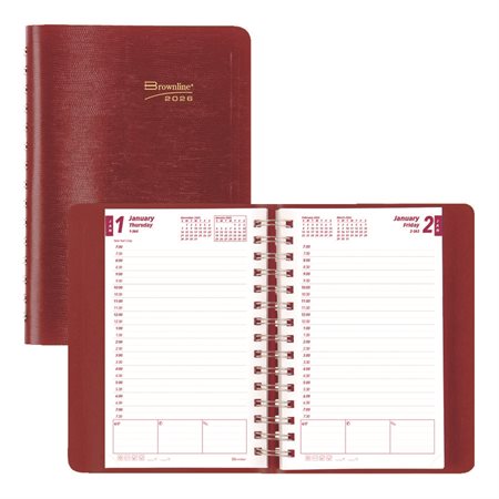Daily Diary (2026)