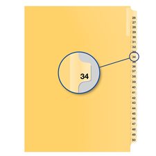 Index juridique individuel numérique Offix® #34