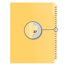 Index juridique individuel numérique Offix® #37