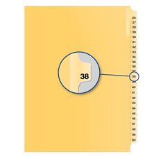 Index juridique individuel numérique Offix® #38