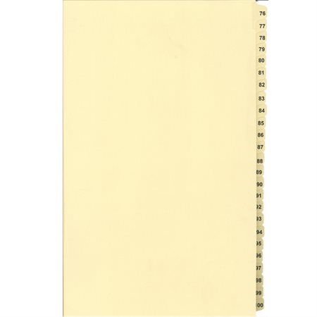 Numerical Litigation Index Dividers