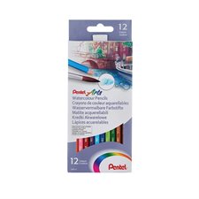 Crayons aquarellables Arts® - 12 couleurs