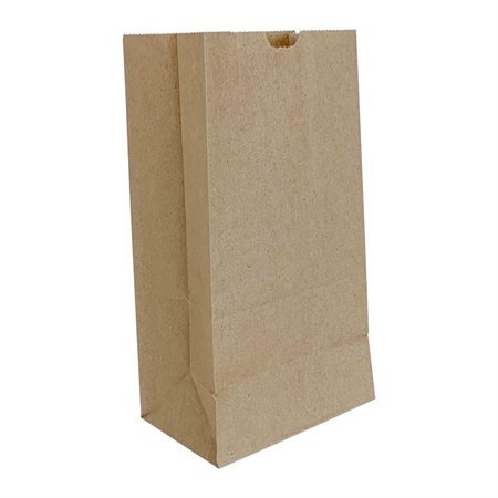 Paper Bags - 4.75 x 2.87 x 8.86 in.