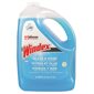 Windex® Original Glass Cleaner