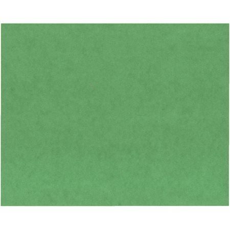 Carton de couleur