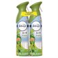 Gain Air Freshener