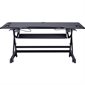 Height Adjustable Standing Desk Converter with USB