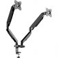 Two-Arm Mount