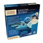 Extreme Sharks of The World Science Game
