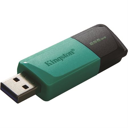DataTraveler Exodia M Flash Drive