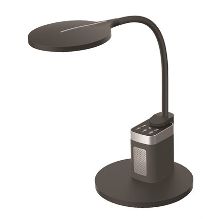 Talulah Desk Lamp