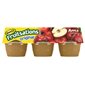 Mott’s Fruitisations Original Apple Sauce