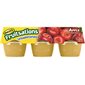 Compote de pommes non sucrée Mott’s Fruitisations 