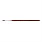 Paint Brush Squirrel Hair