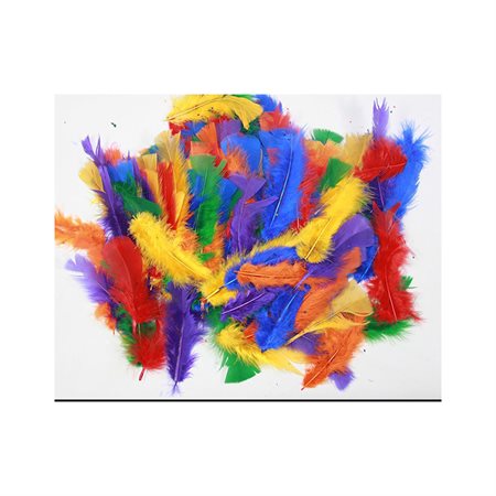 Plumes