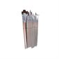 Watercolor Paint Brushes