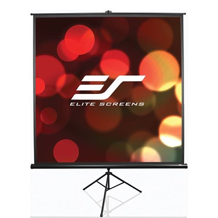 Portable Tripod Screen