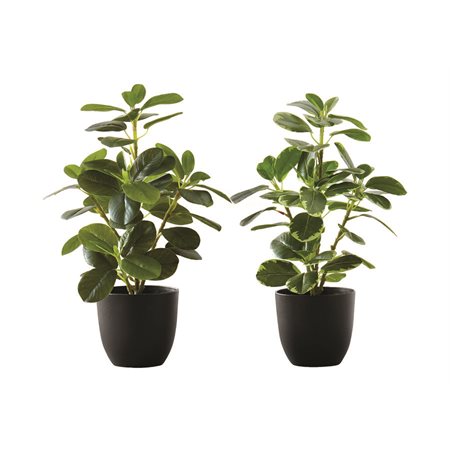 Plante de ficus elastica artificielle