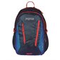 Agave Backpack