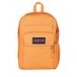 Big Student Backpack
