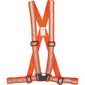 Harness