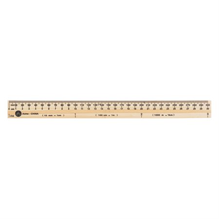 Règle de 30 cm