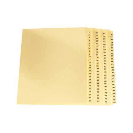 Legal Exhibit Index Dividers