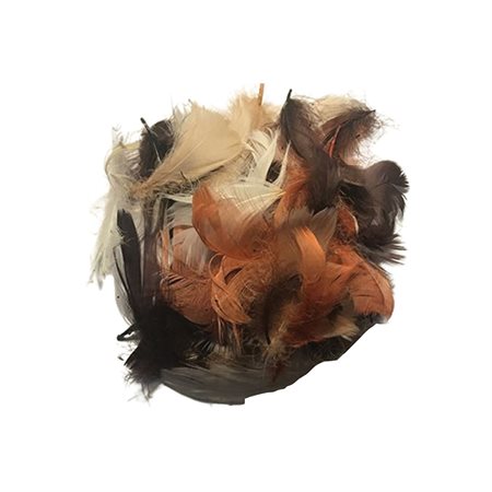 Feathers Autumn Assortment