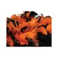 Feathers Halloween Assortment