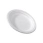 Plates Disposable