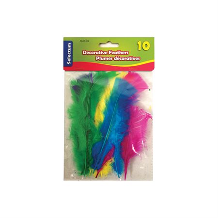 Plumes décoratives