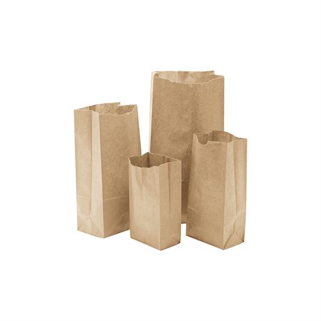Sacs en papier - 3 x 5-7/8 po.
