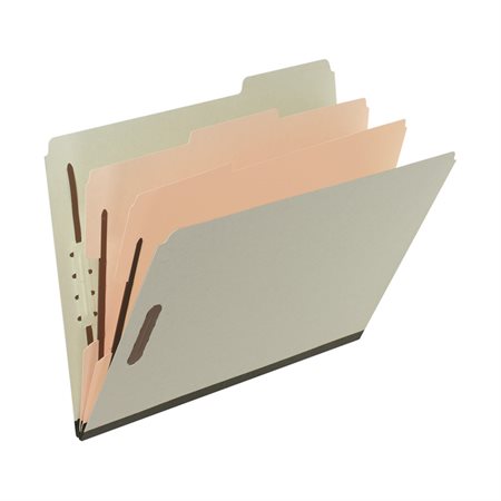Classification Folder Letter