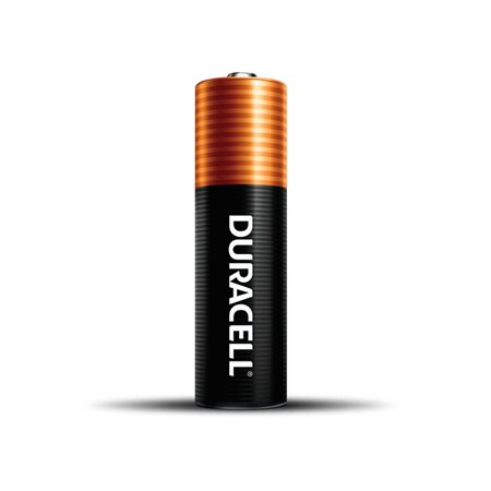 Piles CopperTop® Power Boost™ AA