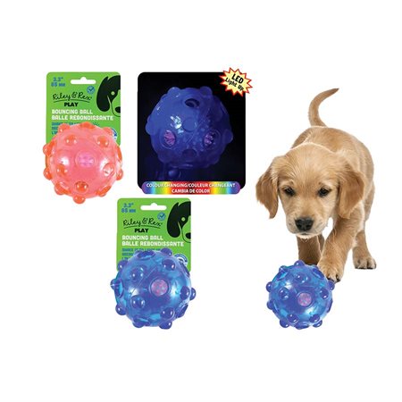 Bouncing Ball