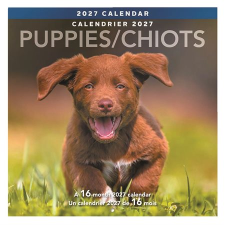 Wall Calendar
