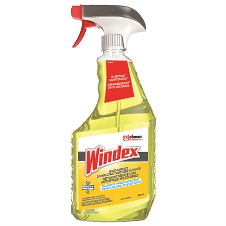Windex Glass Cleaner