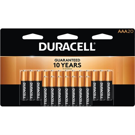 Piles alcalines Coppertop