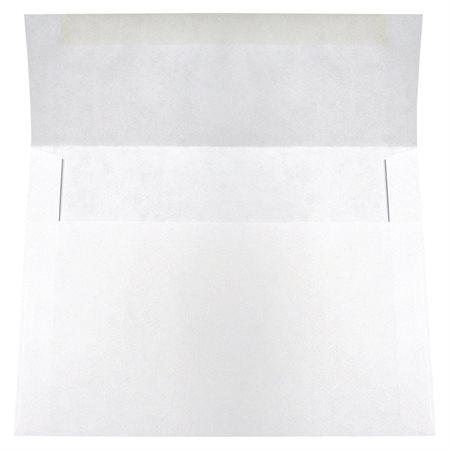 White Invitation Envelope