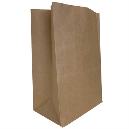Sacs en papier - 8,25  x 16 x 5,18 po.