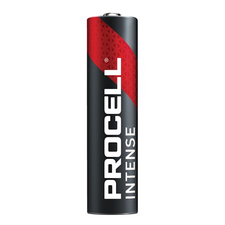 Piles alcalines pouvoir intense Procell® AAA
