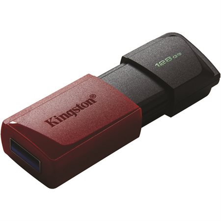 DataTraveler Exodia M Flash Drive