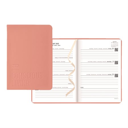 Conscious Weekly Planner (2027) clay